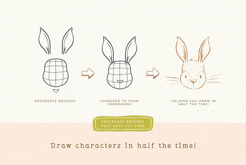 25xt-484675 Procreate Character Drawing Toolkit3.jpg
