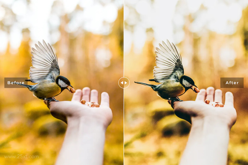 25xt-710213 Birds & Wings Mobile & Desktop Lightroom Presets4.jpg