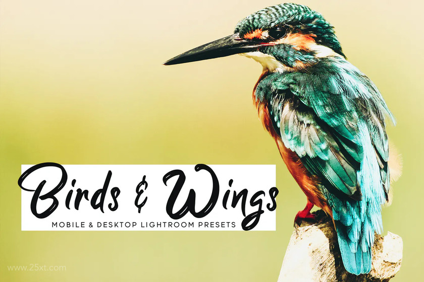25xt-710213 Birds & Wings Mobile & Desktop Lightroom Presets3.jpg