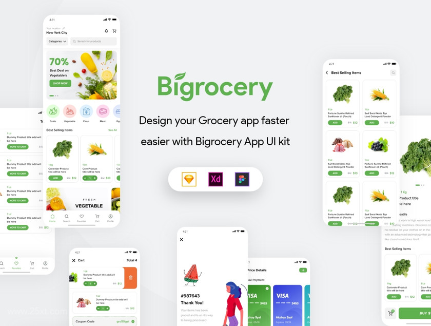 25xt-484684 Bigrocery UI Kit1.jpg