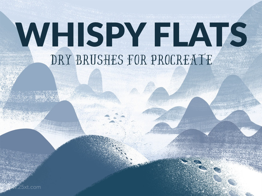 25xt-484726 TipTop - Whispy Flats (dry brushes)3.jpg