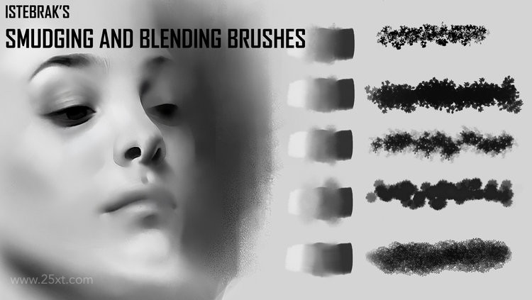 25xt-484742 Istebrak'sBrushBundle4.jpg