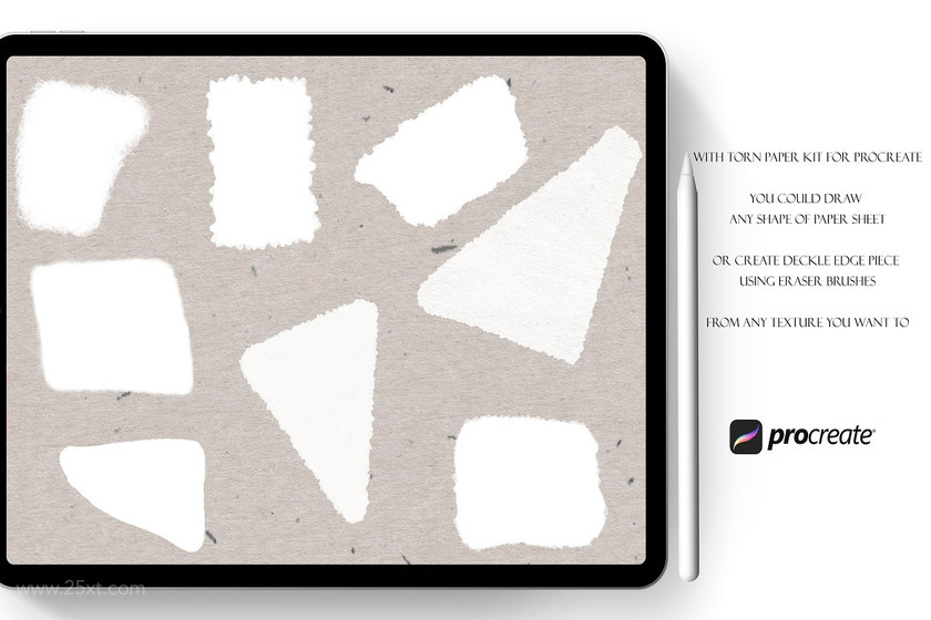 25xt-484783 Torn Paper Kit for Procreate6.jpg