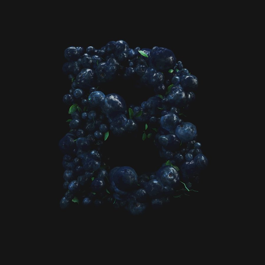 B-for-Blueberries2-1.jpg