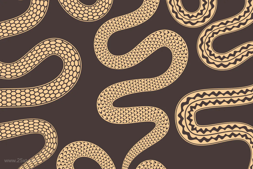 25xt-155471Skin Snake Pattern Brushes Adobe Illustrator4.jpg