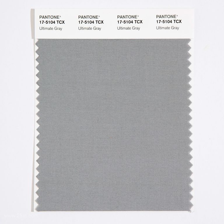 PANTONE 17-5104 Ultimate Gray + PANTONE 13-0647 Illuminating2.jpg