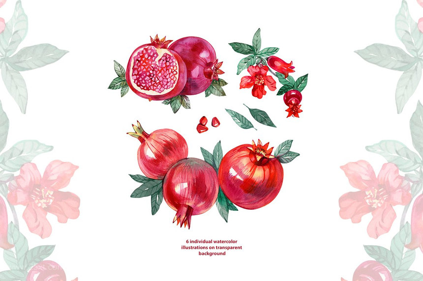 25xt-484975 Watercolor Pomegranate-2.jpg