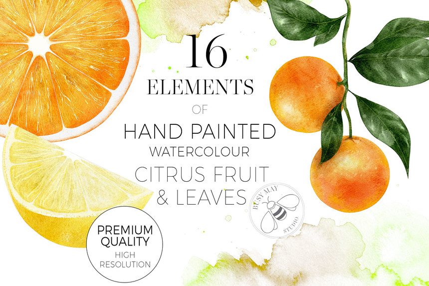 25xt-484976 Watercolour Citrus Fruit Leaves Summer Fruit Lemons Limes-2.jpg
