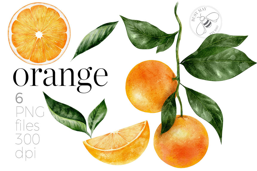 25xt-484976 Watercolour Citrus Fruit Leaves Summer Fruit Lemons Limes-4.jpg