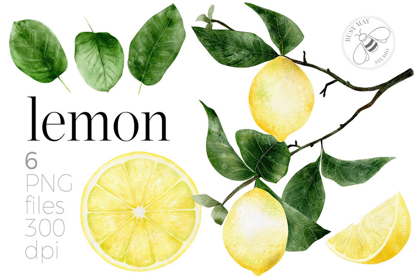 25xt-484976 Watercolour Citrus Fruit Leaves Summer Fruit Lemons Limes-3.jpg