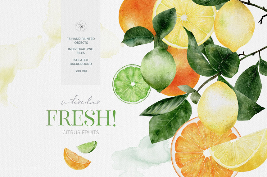 25xt-484976 Watercolour Citrus Fruit Leaves Summer Fruit Lemons Limes-1.jpg