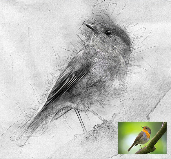 25xt-484982 Hand Drawn Art Photoshop Action9.jpg