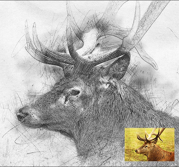 25xt-484982 Hand Drawn Art Photoshop Action7.jpg