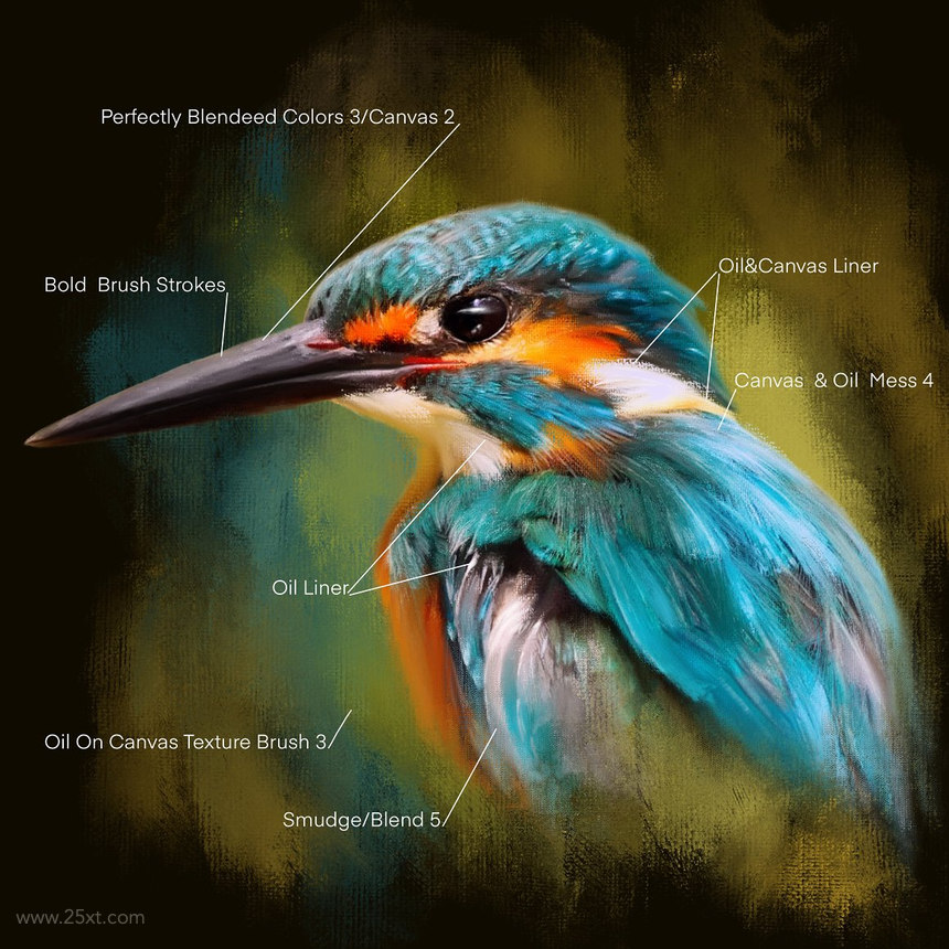 25xt-484998 Oil Brushes for Procreate 1.jpg