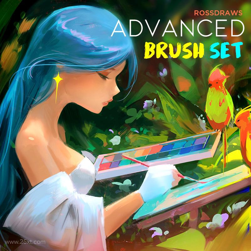 25xt-485077 Rossdraws' Advanced Brush Set 1.jpeg
