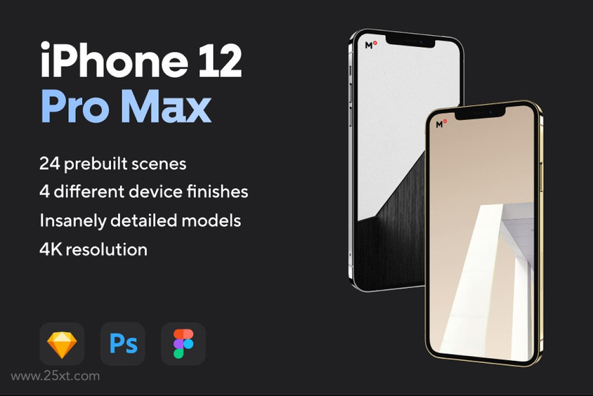 25xt-485089 iPhone 12 Pro Max Mockups 2.jpg
