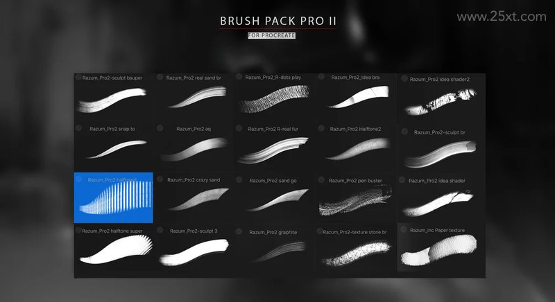 25xt-485112 BRUSH PACK PRO II for PROCREATE 5 1.jpg