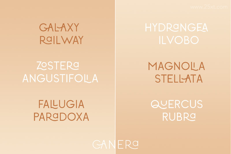 25xt-161849-Canera - Simple Elegant Typeface-12.jpg