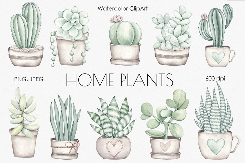 25xt-485142-Watercolor ClipArt Green Plants 2.jpg