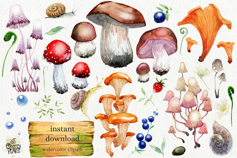 25xt-485165-Watercolor cliparts of mushrooms and herbs individual PNG2.jpeg