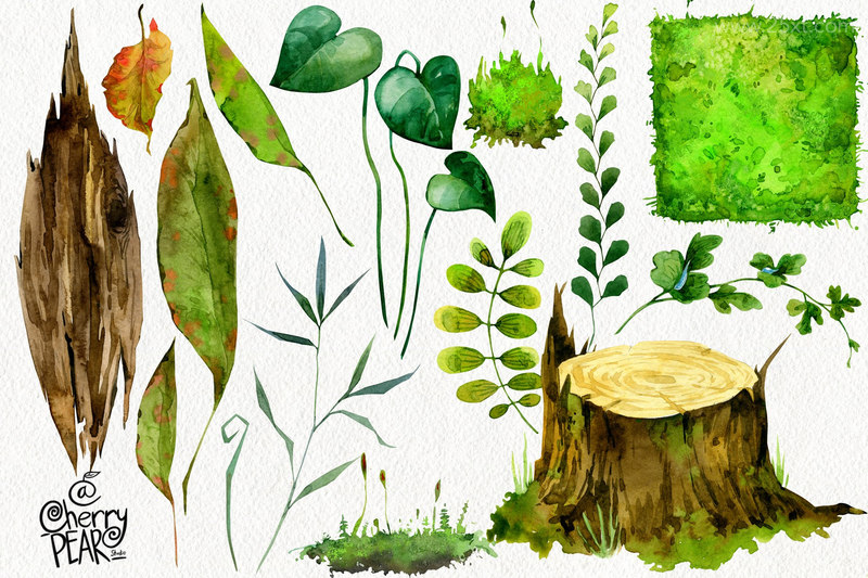 25xt-485165-Watercolor cliparts of mushrooms and herbs individual PNG4.jpeg