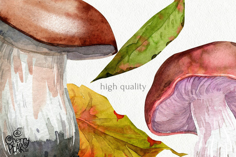 25xt-485165-Watercolor cliparts of mushrooms and herbs individual PNG7.jpeg