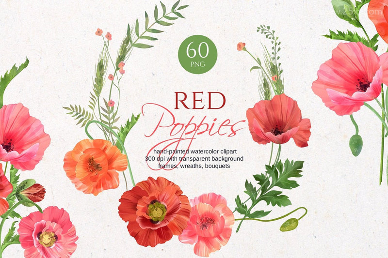 25xt-485182-Red Poppy Watercolor-1.jpg