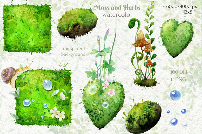 25xt-485264-Watercolor cliparts of forest moss and herbs3.jpg