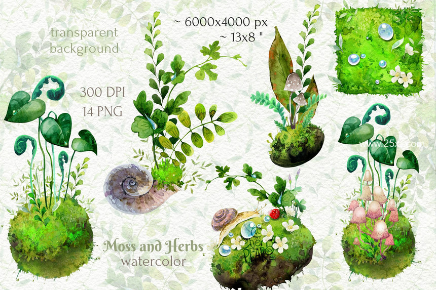 25xt-485264-Watercolor cliparts of forest moss and herbs2.jpg