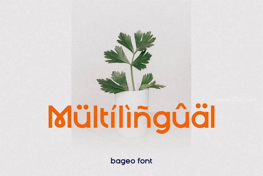 25xt-485292-Bageo-6.jpg