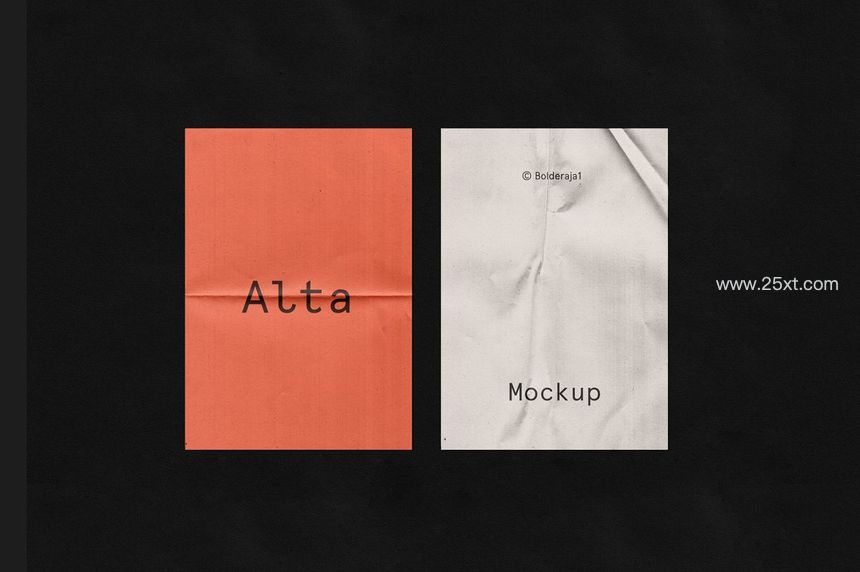 25xt-485589-Wrinkle - Fold Paper Mockup5.jpg