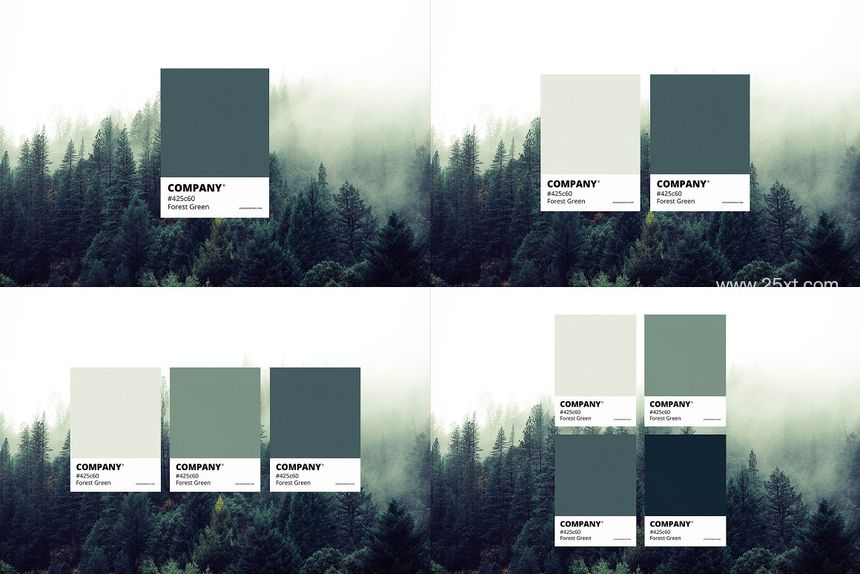 25xt-485614-Color Match Mockup Set6.jpg