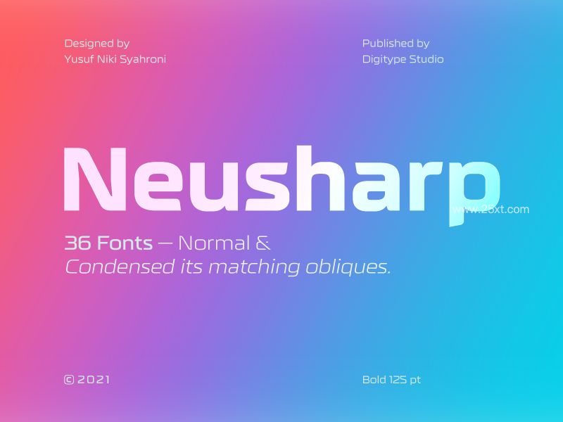 25xt-485727-Neusharp Font Family1.jpg