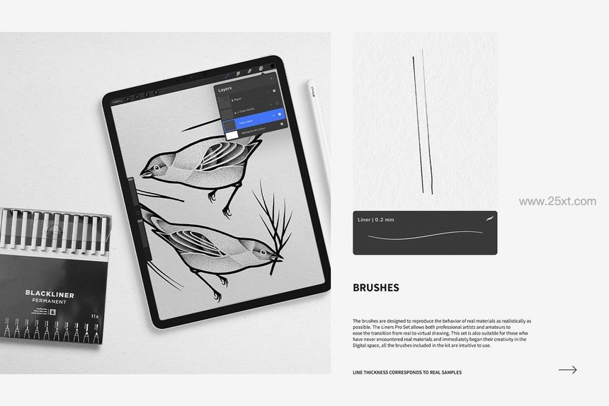 25xt-485732-Liners Pro Set for Procreate2.jpg