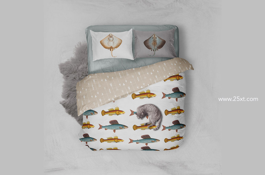 25xt-485747-500+ Vintage Fish Illustrations4.jpg