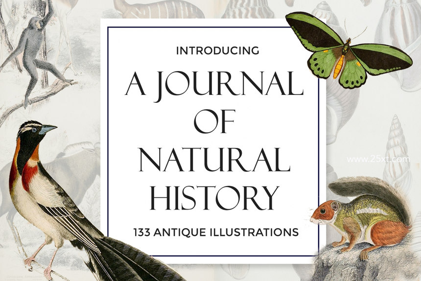 25xt-485746-A Journal of Natural History Illustrations1.jpg