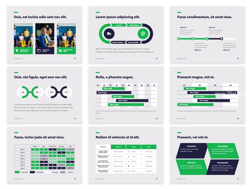 25xt-486117-Business Shamrock PowerPoint Theme5.jpg