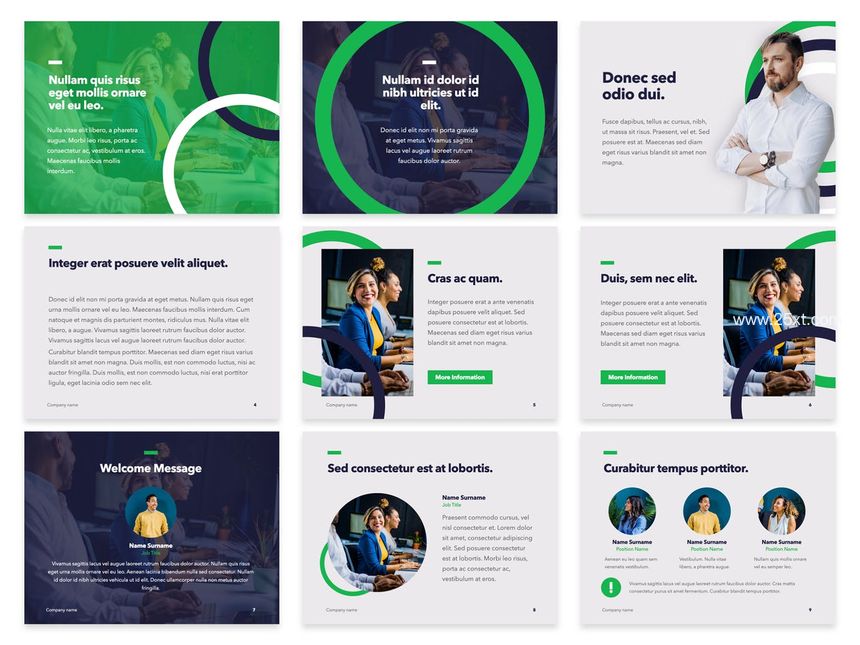 25xt-486117-Business Shamrock PowerPoint Theme2.jpg