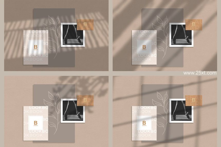 25xt-486499-Natural Shadow Play Overlay Kit12.jpg