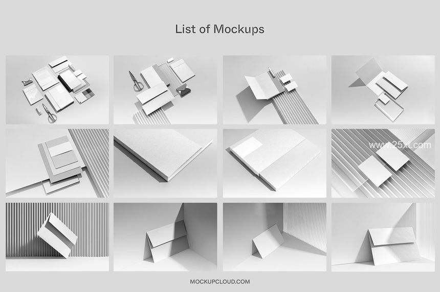 25xt-486669-Idenix Branding Mockup Kit11.jpg