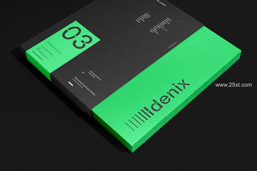 25xt-486669-Idenix Branding Mockup Kit7.jpg