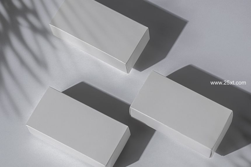 25xt-487475-Rectangular Psd Boxes Set Packaging4.jpg