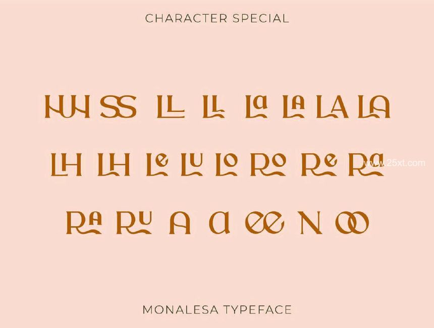 25xt-487643-Monalesa - New Vintage Typeface12.jpg