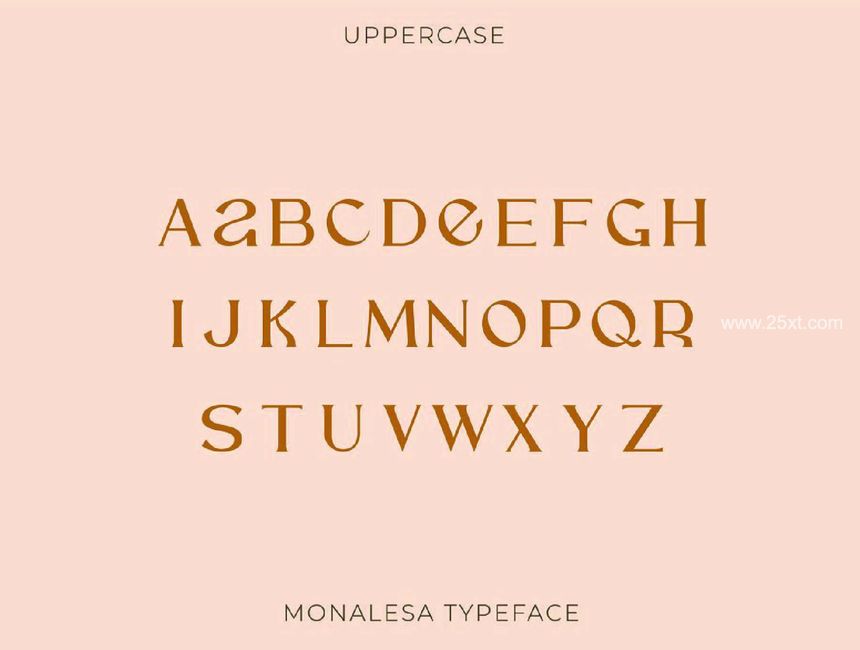 25xt-487643-Monalesa - New Vintage Typeface9.jpg