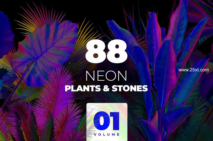 25xt-487772-NEON plants & stones collection #011.jpg