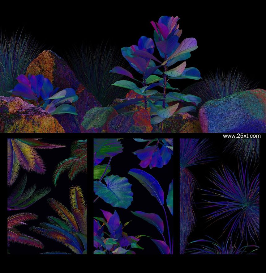 25xt-487772-NEON plants & stones collection #017.jpg