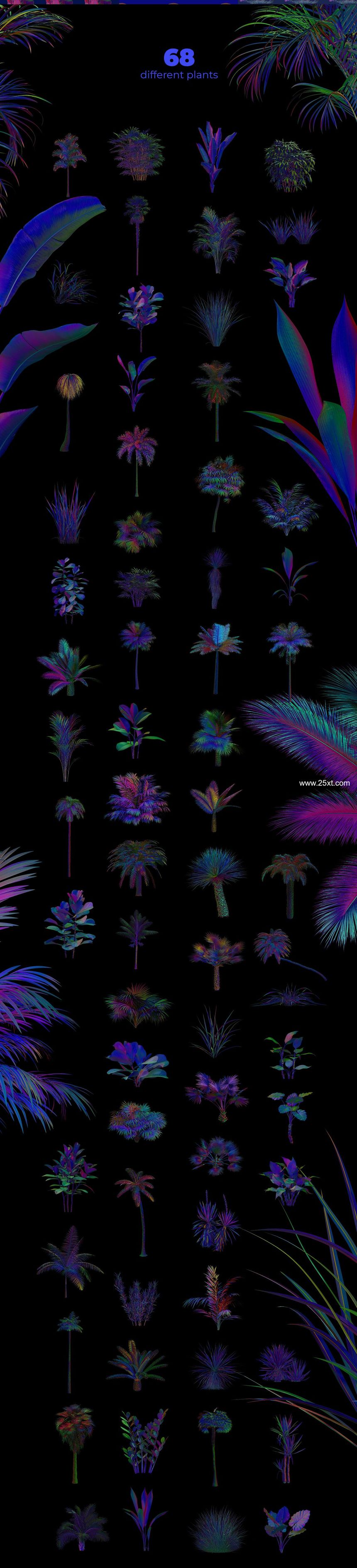 25xt-487772-NEON plants & stones collection #016.jpg