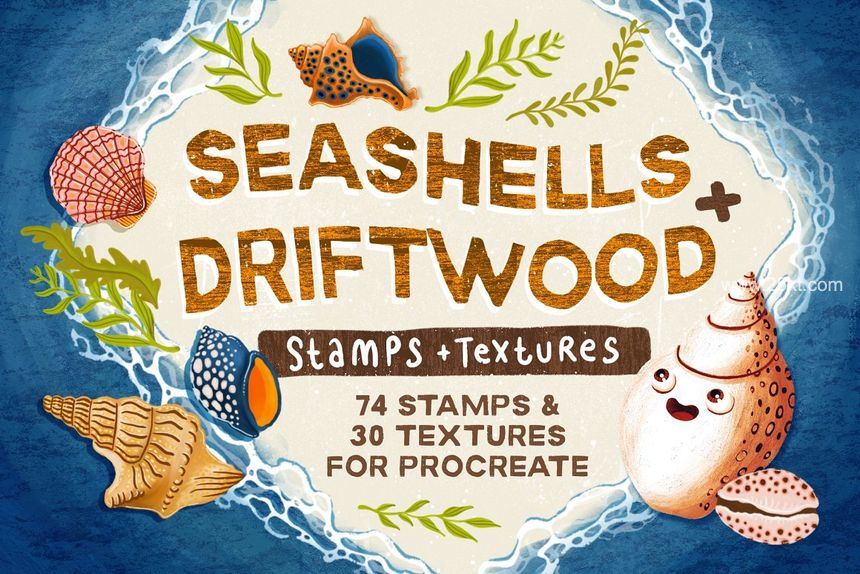 25xt-488139-Seashells + Driftwood Procreate Set1.jpg