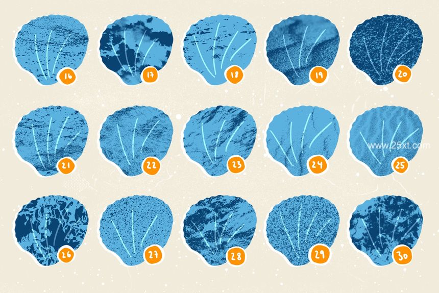 25xt-488139-Seashells + Driftwood Procreate Set10.jpg