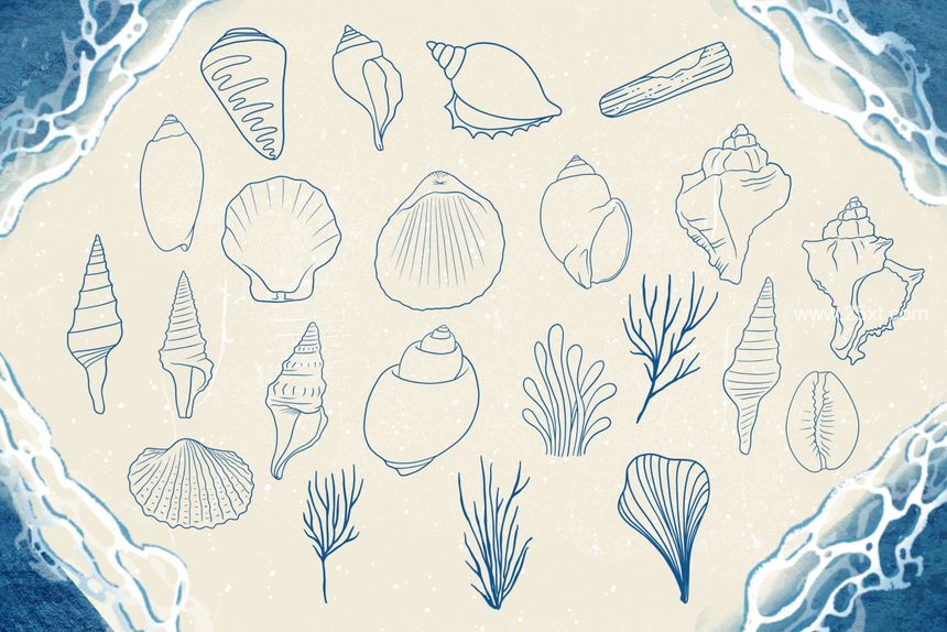 25xt-488139-Seashells + Driftwood Procreate Set5.jpg